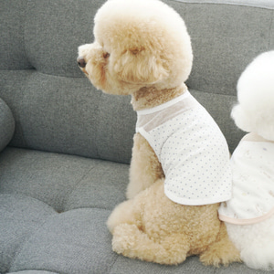 유아러피치 땡땡이 홈웨어 강아지옷 애견의류